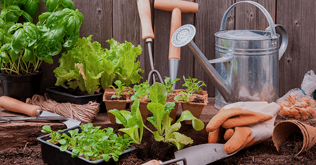 como hacer un huerto en casa